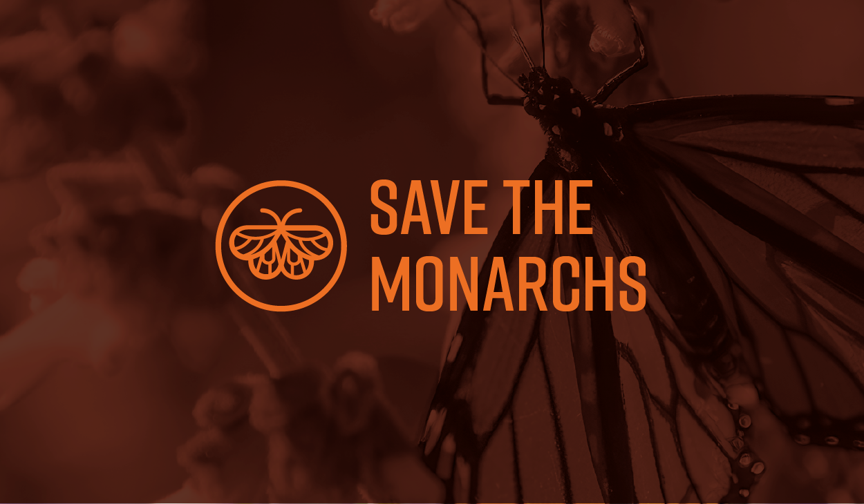 Save The Monarchs